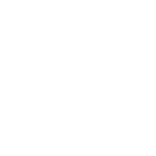 The Cyclist